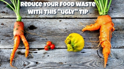 The Problem of Food Waste Almost half of our food is wasted in the United States.